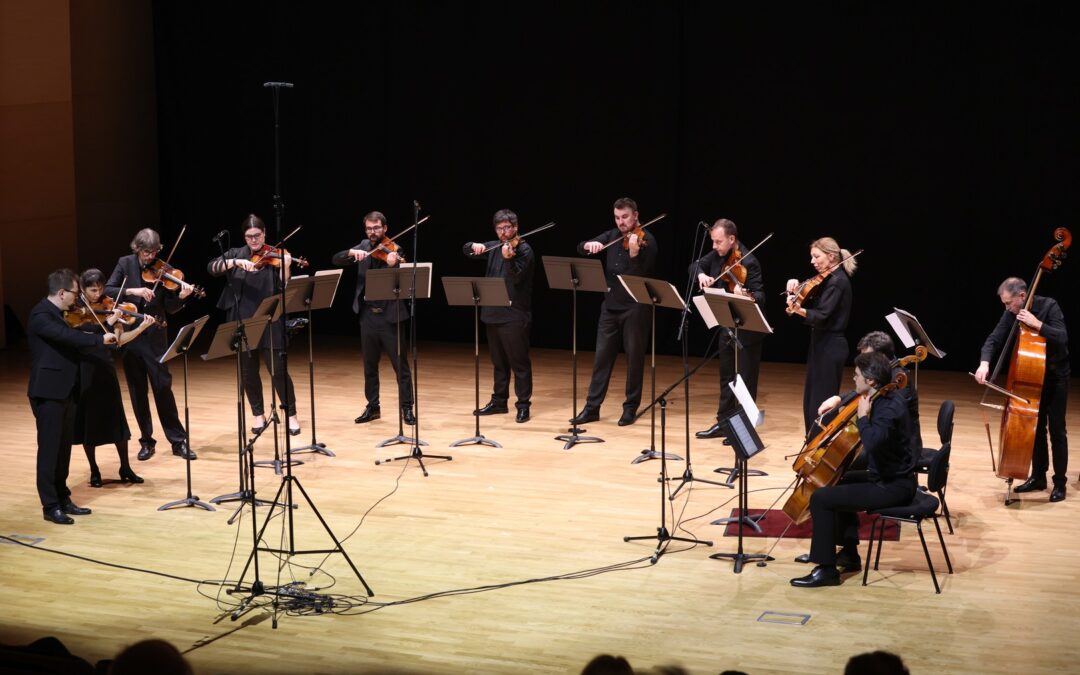 2024. Acoustic Project Strings